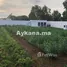  Land for sale in Rabat Sale Zemmour Zaer, Na Skhirate, Skhirate Temara, Rabat Sale Zemmour Zaer