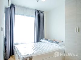 1 Schlafzimmer Wohnung zu verkaufen im The Cabana Modern Resort Condominium, Samrong, Phra Pradaeng, Samut Prakan
