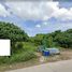  Land for sale in Phuket, Kathu, Kathu, Phuket