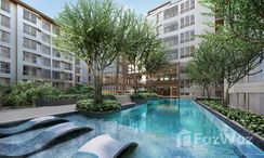 图片 3 of the Communal Pool at Blue Phahonyothin 35