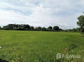  Land for sale in San Klang, San Pa Tong, San Klang