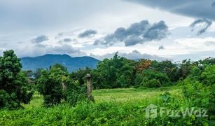 N/A Grundstück zu verkaufen in Mueang Kaeo, Chiang Mai 