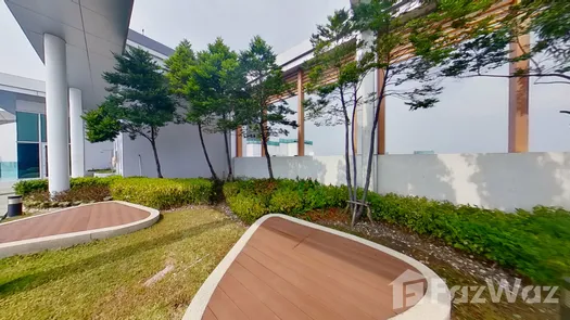 3D视图 of the Communal Garden Area at Life Ratchadapisek