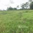  Land for sale in Mueang Chiang Rai, Chiang Rai, Rop Wiang, Mueang Chiang Rai