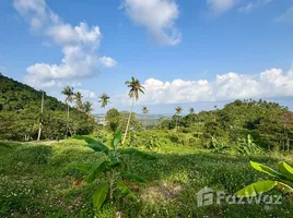 ขายที่ดิน ใน บ่อผุด, สุราษฎร์ธานี, บ่อผุด