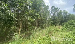 N/A Land for sale in Si Sunthon, Phuket 