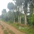  Land for sale in Perez Zeledon, San Jose, Perez Zeledon