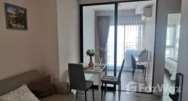 ยูนิตมือสองและให้เช่า