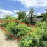  Land for sale in Mueang Samut Sakhon Samut Sakhon, Ban Ko, Mueang Samut Sakhon, Samut Sakhon
