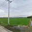  Land for sale in Sai Noi, Nonthaburi, Sai Yai, Sai Noi