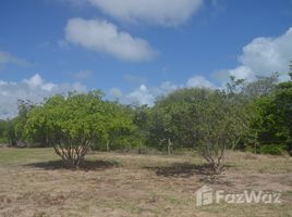  Land for sale in Fortim, Ceara, Maceio, Fortim
