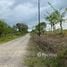  Land for sale in Sortova, Chiriqui, Sortova, Bugaba, Chiriqui