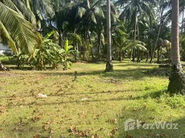 ขายที่ดิน ใน เกาะพะงัน, สุราษฎร์ธานี, เกาะพะงัน, เกาะพะงัน, สุราษฎร์ธานี