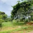  Land for sale in Perez Zeledon, San Jose, Perez Zeledon