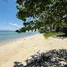 ขายที่ดิน ใน ตลิ่งงาม, สุราษฎร์ธานี, ตลิ่งงาม, เกาะสมุย