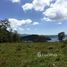  Land for sale in Guanacaste, Tilaran, Guanacaste