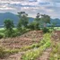 ขายที่ดิน ใน โป่งตาลอง, นครราชสีมา, โป่งตาลอง, ปากช่อง, นครราชสีมา, ไทย