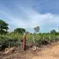  Land for sale in Khlong Hok, Pathum Thani, Khlong Hok, Khlong Luang, Pathum Thani, Thailand