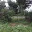  Land for sale in Takhu, Nakhon Ratchasima, Takhu, Pak Thong Chai, Nakhon Ratchasima