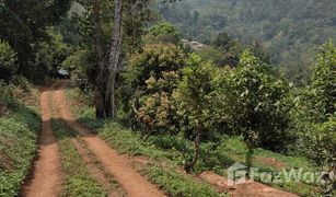N/A Land for sale in Mueang Kai, Chiang Mai 