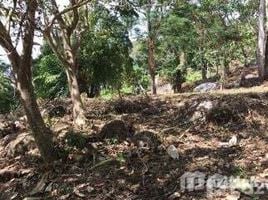  Land for sale in Kathu Phuket, Kathu, Kathu, Phuket