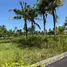  Terreno (Parcela) en venta en Blahbatu, Bali, Blahbatu, Gianyar, Bali