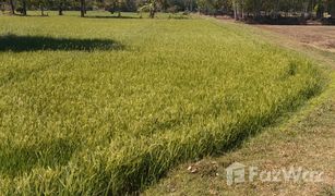 N/A Grundstück zu verkaufen in Khwao Yai, Maha Sarakham 