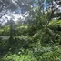  Land for sale in Don Kaeo, Chiang Mai, Don Kaeo, Saraphi, Chiang Mai