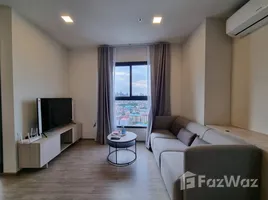 1 Bedroom Condo for rent at NIA By Sansiri, Phra Khanong Nuea