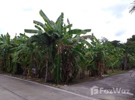  Land for sale in Phuket Town, Phuket, Chalong, Phuket Town
