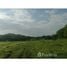  Land for sale in Bagaces, Guanacaste, Bagaces