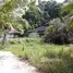  Terrain for sale in Ko Kaeo, Phuket Town, Ko Kaeo