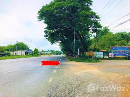 ขายที่ดิน ใน วังด้ง, กาญจนบุรี, วังด้ง, เมืองกาญจนบุรี, กาญจนบุรี