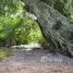 ขายที่ดิน ใน สะเนียน, น่าน, สะเนียน, เมืองน่าน