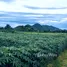  Land for sale in Thailand, Si Mongkhon, Sai Yok, Kanchanaburi, Thailand