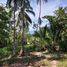  Land for sale in Maenam, Koh Samui, Maenam