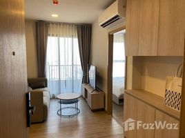 2 Bedroom Condo for rent at NIA By Sansiri, Phra Khanong Nuea