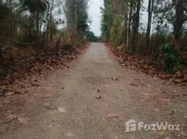 ขายที่ดิน ใน ชมพู, ลำปาง, ชมพู, เมืองลำปาง, ลำปาง, ไทย