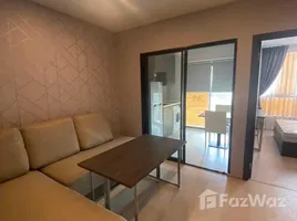 คอนโด 1 ห้องนอน ให้เช่า ในโครงการ เอลลิโอ เดล เนสท์, บางนา, บางนา, กรุงเทพมหานคร, ไทย