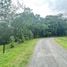  Land for sale in Pococi Limon, Pococi, Limon