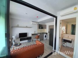 1 Bedroom Condo for rent at Notting Hill Sukhumvit 105, Bang Na, Bang Na