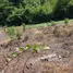  Land for sale in Bo Thong, Lop Buri, Bo Thong, Nong Muang