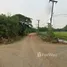  Land for sale in Mae Rim Chiang Mai, Mueang Kaeo, Mae Rim, Chiang Mai