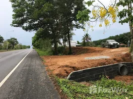 ขายที่ดิน ใน โคกกลอย, พังงา, โคกกลอย, ตะกั่วทุ่ง, พังงา, ไทย