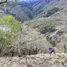  Grundstück zu verkaufen in Santa Barbara, Biobío, Santa Barbara, Biobío, Biobío