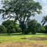  Land for sale in Limon, Pococi, Limon