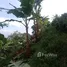  Land for sale in Risaralda, Caldas, Risaralda, Caldas