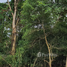 Land for sale in Rayong, Makham Khu, Nikhom Phatthana, Rayong