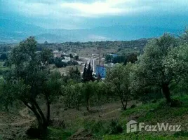 在Tanger Tetouan出售的 土地, Na Chefchaouene, Chefchaouen, Tanger Tetouan