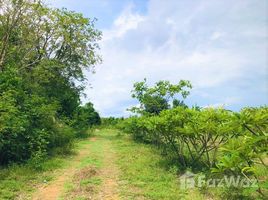  Земельный участок for sale in Kanchanaburi, Wang Dong, Mueang Kanchanaburi, Kanchanaburi